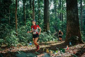 BIB: 
                            <button type="button" onclick="openModal(26129683)" class="btn btn-primary btn-sm float-right btn-popup" data-toggle="modal" data-target=".modal-high-quality">
                        <i class="fas fa-shopping-cart"></i> Add to Cart
                    </button>
                                            <button type="button" onclick="isThisMe(26129683, true)" class="btn btn-success btn-sm float-right btn-popup btn-isme hidden" data-toggle="tooltip" data-placement="bottom" title="นี่คือรูปของคุณใช่ไหม คลิกที่นี่เพื่อเอาเข้าอัลบั้ม">
                        <i class="fas fa-plus"></i> Add to album
                    </button>
                    <button type="button" onclick="isThisMe(26129683, false)" class="btn btn-warning btn-sm float-right btn-popup btn-isnotme hidden">
                        <i class="fas fa-ban"></i> Remove from album
                    </button>